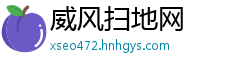 威风扫地网